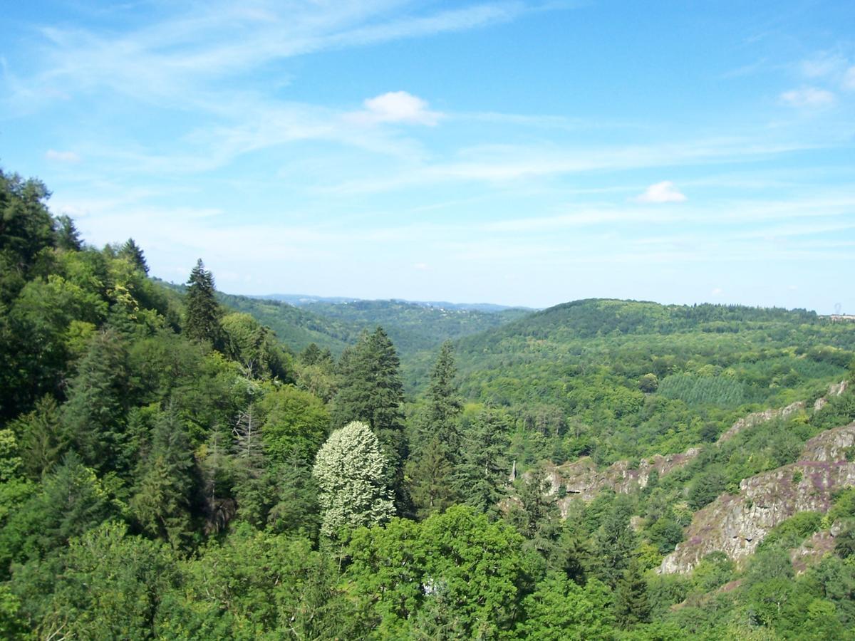 L'Hostellerie De La Vallee Gimel-les-Cascades Exterior photo